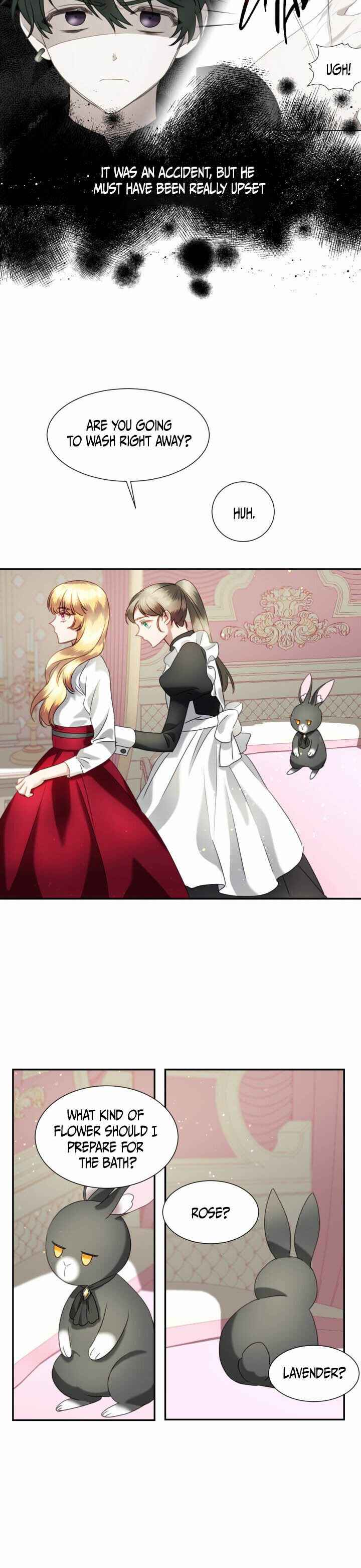 The Fake Princess' OP Bunny Chapter 21 9